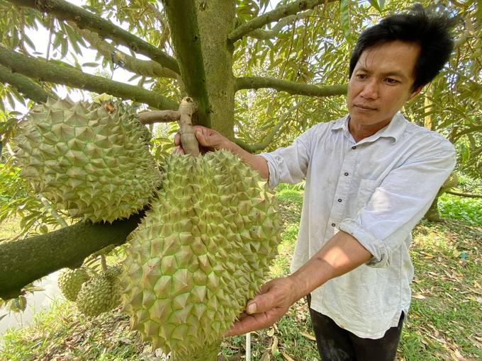 Cần phải đưa sầu riêng trở thành sản phẩm quốc gia, xây dựng, thiết kế chính sách chung về sầu riêng cho nông dân, doanh nghiệp, khoa học công nghệ, cơ sở hạ tầng...