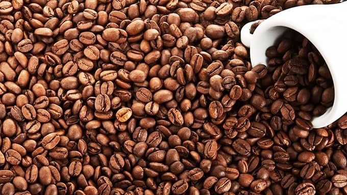 Latest update on coffee prices domestically and globally on 08/20/2024