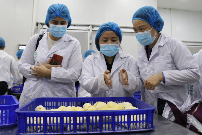 Enterprises are preparing documents to apply for a cold storage code for export. Photo: Quang Yen.