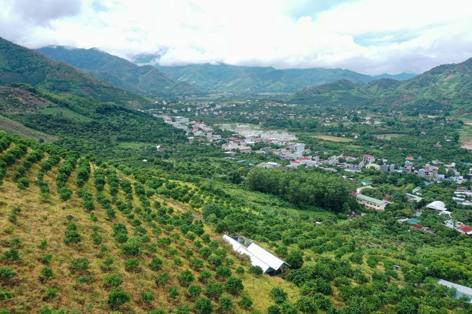 The sloping land of Chieng Khuong. Photo: Tung Dinh.