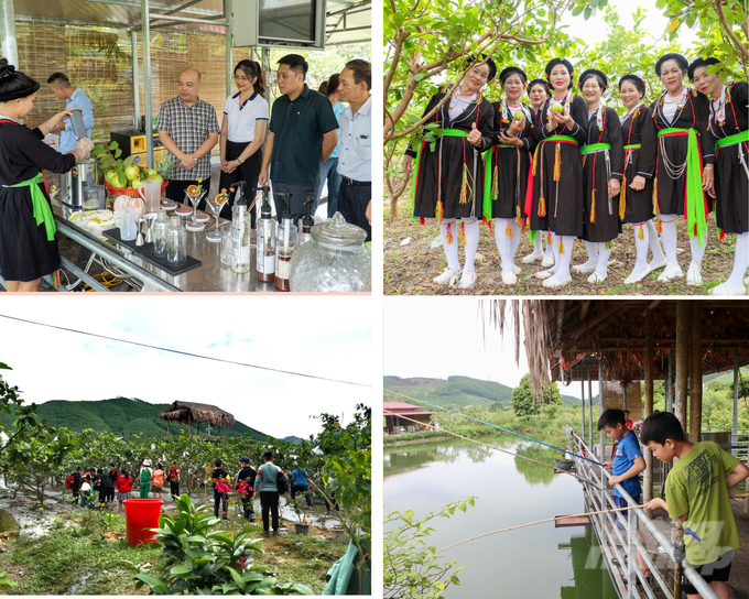 Hoạt động du lịch trải nghiệm tại vườn ổi thu hút đông đảo khách du lịch. Ảnh: Cường Vũ.