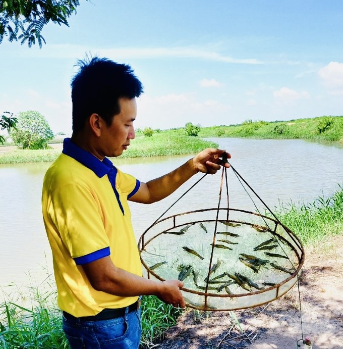 In recent years, the rice-shrimp model has brought a lot of value to farmers in Thoi Binh district, Ca Mau province. Photo: Trong Linh.