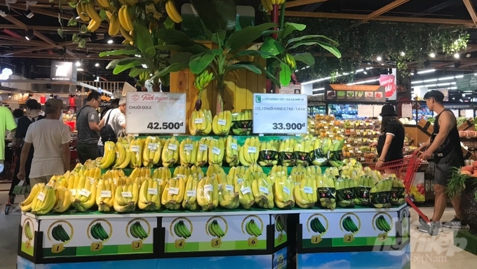 To secure markets for his banana products, Mr. Liem reached out to corporations worldwide, eventually receiving a response from Dole Corporation. Photo: Hong Thuy.