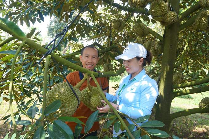 Ms. Phan Thi Men advises people on how to grow durian. Photo: Bao Thang.