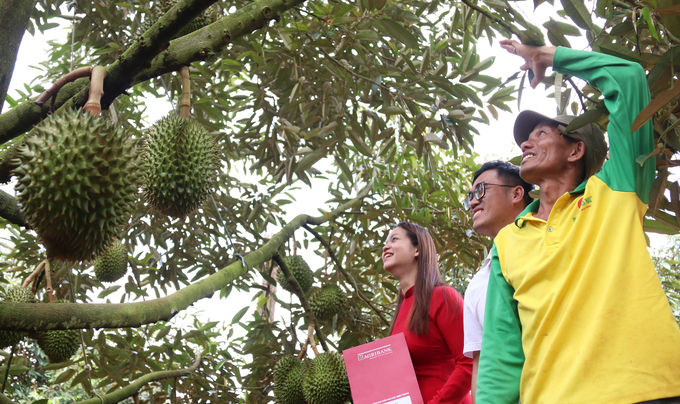 Ông Nguyễn Ngọc Phúc (ngoài cùng bên phải) nhờ nguồn vốn vay từ Agribank Bắc Đắk Lắk mà phát triển kinh tế, làm giàu. Ảnh: Quang Yên.