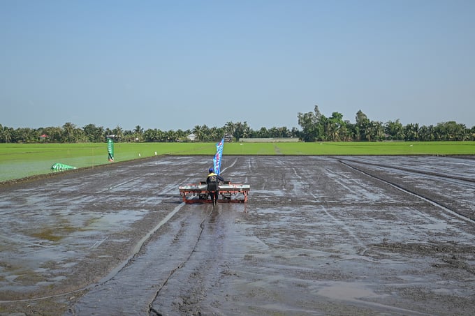 The project of 1 million hectares of high-quality, low-emission rice in the Mekong Delta is a premise for the sustainable development of the rice industry. Photo: Tung Dinh.