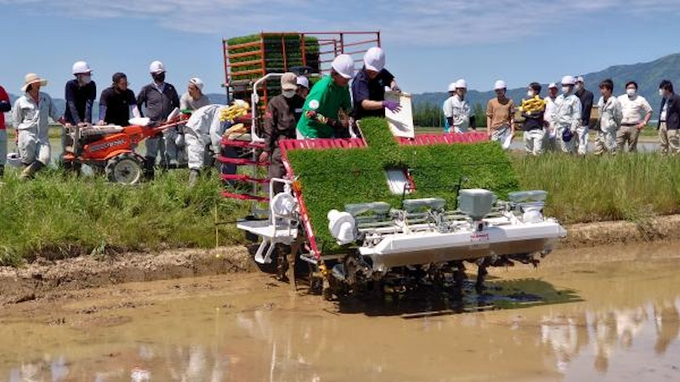 Niigata province has strengths in rice production and training of high-quality rice production human resources. llustration photo.