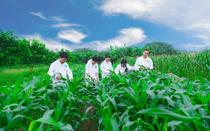 Vietnam Academy of Agriculture meets high-tech agricultural training requirements. Illustration photo.