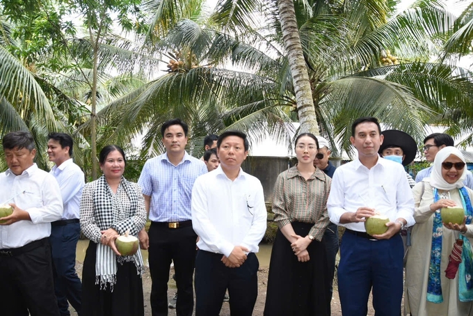 Ông Trần Thanh Lâm (giữa), Phó Bí thư Thường trực Tỉnh ủy Bến Tre làm 'hướng dẫn viên' giới thiệu cho các doanh nghiệp, nhà khoa học về vùng nguyên liệu dừa mà tỉnh Bến Tre đang xây dựng trong khuôn khổ Hội thảo khoa học ngành dừa tỉnh Bến Tre vừa diễn ra từ ngày 15-16/8. Ảnh: Minh Đảm.