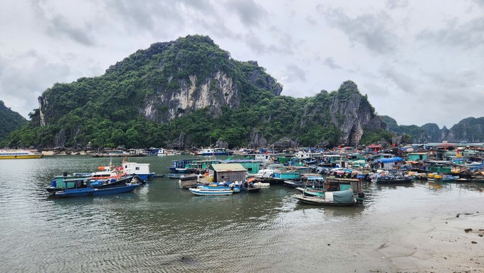 Quang Ninh now has 5,556 fishing vessels operating at sea. Photo: Nguyen Thanh.