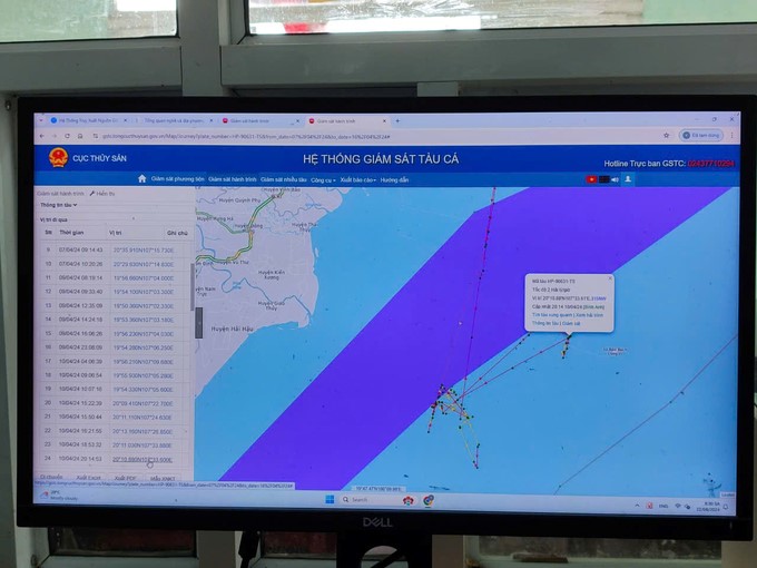 Quang Ninh has 4,247 fishing vessels with a length of over 6 m that have updated data on Vnfishbase, reaching 100%. Photo: Nguyen Thanh.