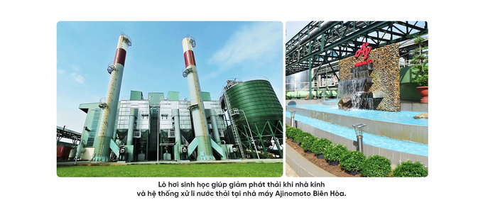 Ajinomoto Vietnam has been actively reducing fossil fuel use, cutting down on electricity consumption, and promoting the use of renewable energy sources. Photo: Tuoi tre online.