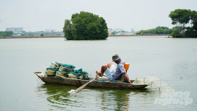 Developing livelihoods under the mangrove canopy properly is also a measure to help protect forest areas from the threat of deforestation. Photo: Le Binh.