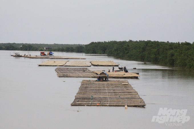 The Tien Hai Wetland Nature Reserve has been preserved with an intact area of 12,500 ha. Photo: Kien Trung.