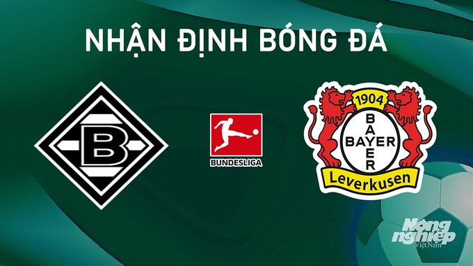 Nhận định bóng đá Bundesliga giữa Gladbach vs Bayer Leverkusen ngày 24/8/2024