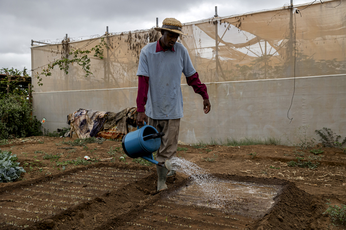 Willy Gonçalves is a young farmer in Cabo Verde. Photo: FAO.