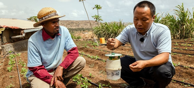 Willy received technical support and technological solutions from Chinese expert. Photo: FAO.