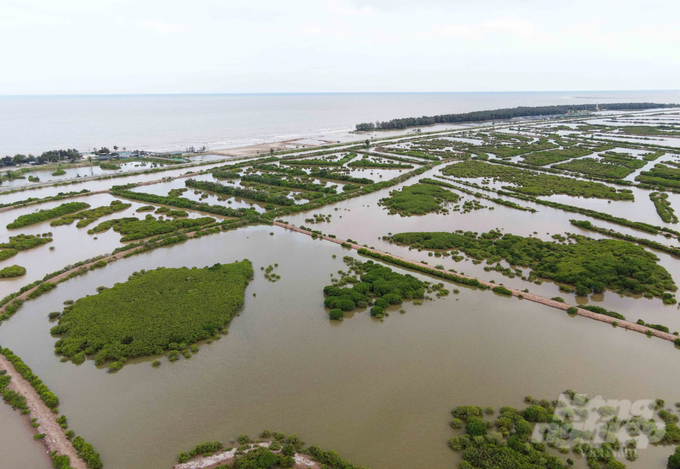 A corner of the Tien Hai Wetland Nature Reserve. Photo: Kien Trung.