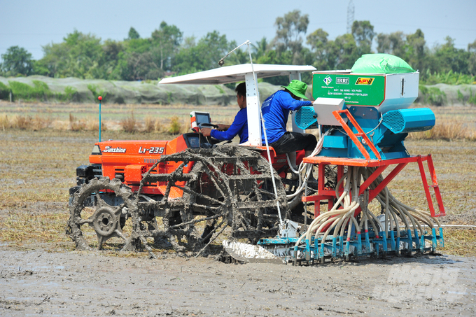 Nhờ ứng dụng máy sạ hàng, lượng giống sử dụng trong mô hình chỉ 80kg/ha. Ảnh: Lê Hoàng Vũ.