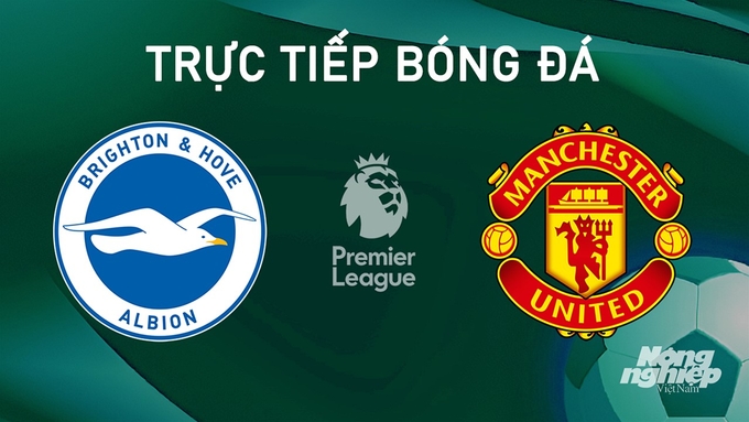 Trực tiếp bóng đá Ngoại hạng Anh giữa Brighton vs Man United hôm nay 24/8/2024