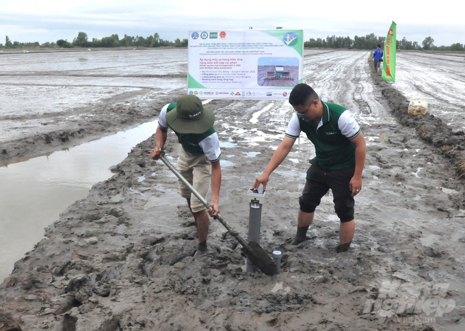 Cánh đồng trong mô hình thí điểm tham gia đề án 1 triệu ha lúa chất lượng cao được hỗ trợ ống cảm biến để theo dõi mực nức trên ruộng, áp dụng kỹ thuật tưới ướt khô xen kẽ (AWD) với mục tiêu giảm 20% lượng nước tưới so với canh tác truyền thống. Ảnh: Trung Chánh. 