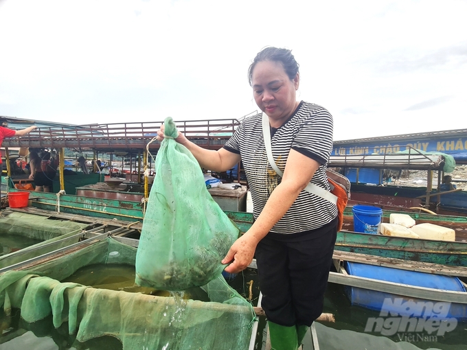 Chị Phạm Thị Tình là một trong những hộ làm nghề thủy sản đầu tiên trên khu vực lòng hồ thủy điện Tuyên Quang. Ảnh: Đào Thanh.