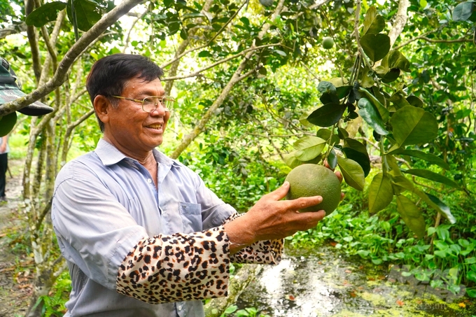 Nhiều mô hình sản xuất của địa phương mang lại hiệu quả cao, hình thành các mô hình liên kết chuỗi giá trị trong sản xuất nông nghiệp. Ảnh: Kiều Trang.