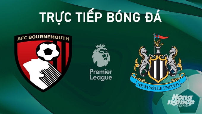 Trực tiếp bóng đá Ngoại hạng Anh giữa Bournemouth vs Newcastle United hôm nay 25/8/2024