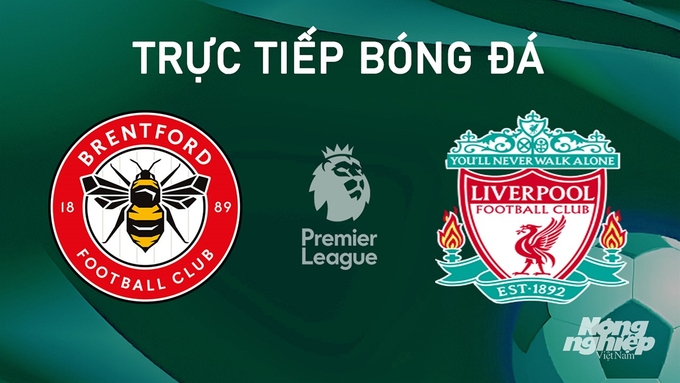 Trực tiếp bóng đá Ngoại hạng Anh giữa Liverpool vs Brentford hôm nay 25/8/2024