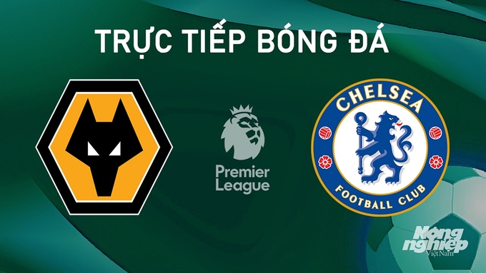 Trực tiếp bóng đá Ngoại hạng Anh giữa Wolves vs Chelsea hôm nay 25/8/2024