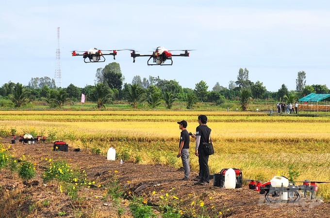 Hậu Giang không ngừng cải thiện chất lượng sản phẩm nông nghiệp thông qua việc áp dụng các quy trình sản xuất đạt chuẩn như VietGAP, GlobalGAP. Ảnh: Kiều trang