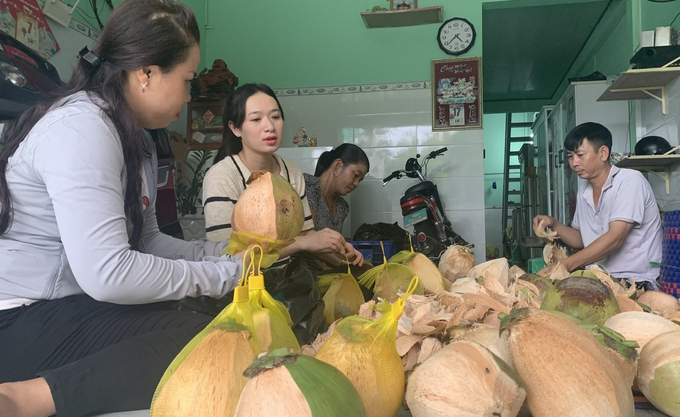 Dừa sáp có giá trị kinh tế cao góp phần nâng cao thu nhập cho người dân Cầu Kè. Ảnh: Hồ Thảo.