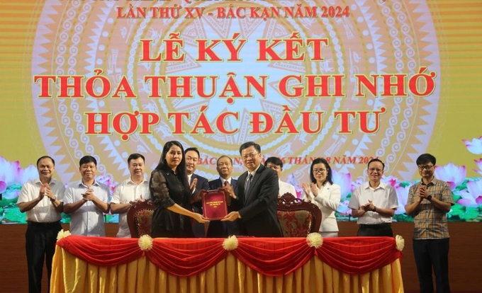 Four investors signing cooperation agreements with the Bac Kan Provincial People's Committee. Photo: Ngoc Tu. 