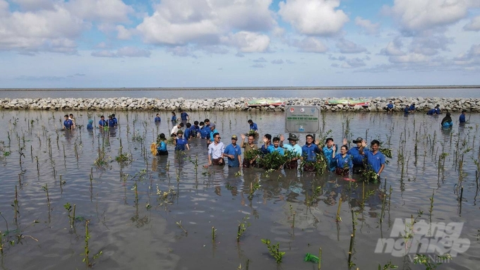 The tree-planting program 'Action for a Green Vietnam' has successfully planted over 690,000 trees and sowed 60,000 seed balls across 19 provinces, cities, and 9 national parks nationwide. Photo: Trong Linh.