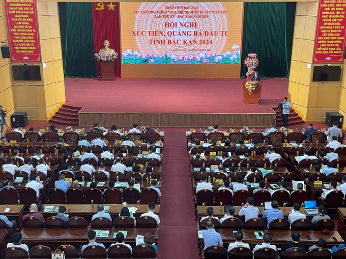 This year's conference marked a collaboration between the Hai Phong Logistics Association and the Bac Kan Provincial People's Committee in creating sustainable carbon credits through forest planting. Photo: Ngoc Tu. 