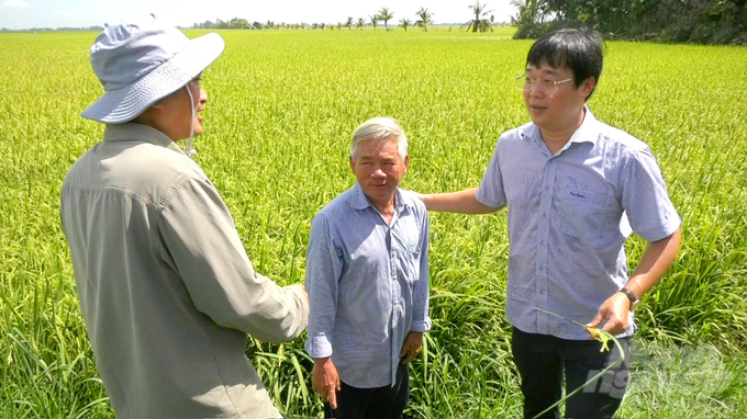 Huyện Tam Nông tiếp tục xây dựng nhiều mô hình sản xuất lúa hữu cơ đem lại kết quả tốt giúp nông dân giảm chi phí và gia tăng lợi nhuận. Ảnh: Lê Hoàng Vũ.