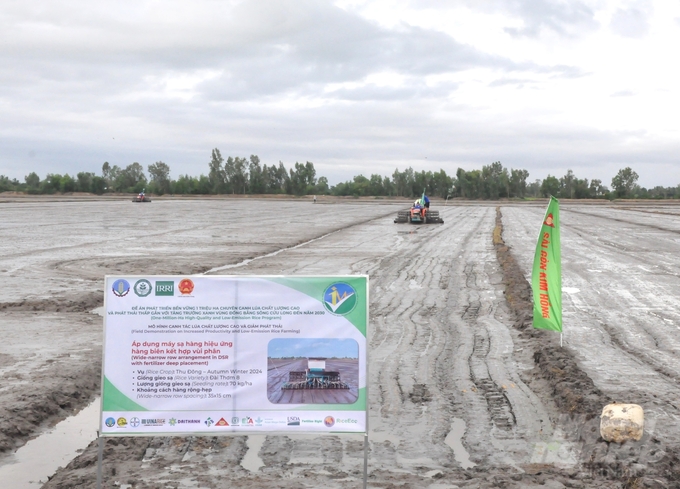 Kien Giang has launched the 1 million hectare high-quality rice project with a pilot model implemented in Tan Hiep district, which will be expanded to other localities thereafter. Photo: Trung Chanh.