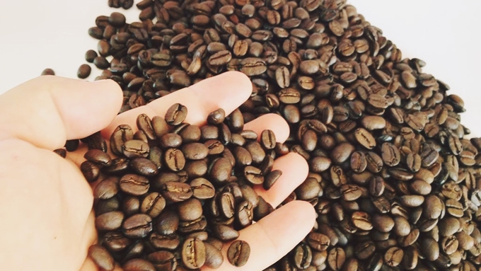 Latest domestic and global coffee prices on 08/25/2024