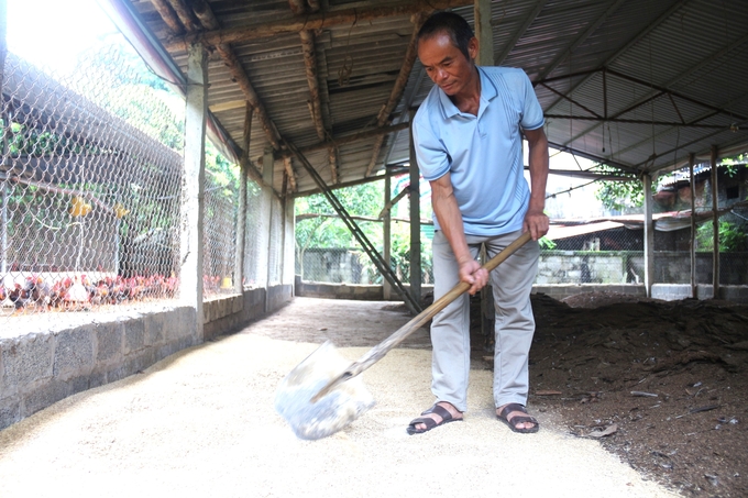 Người dân sử dụng chế phẩm sinh học để xử lý chuồng trại, chất thải chăn nuôi nhằm giữ vệ sinh, phòng bệnh và đảm bảo sức khỏe cho đàn vật nuôi. Ảnh: Phạm Hiếu.