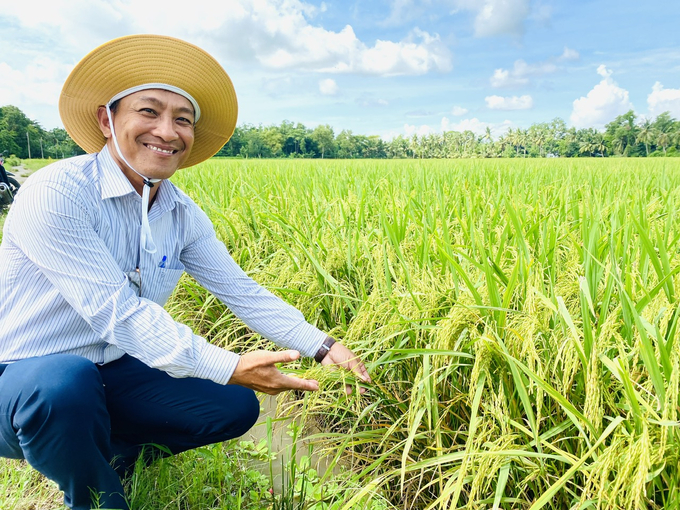 Nhiều giải pháp kỹ thuật canh tác lúa tiên tiến, bền vững đã được nông dân áp dụng trong vụ hè thu 2024. Ảnh: Lê Hoàng Vũ.