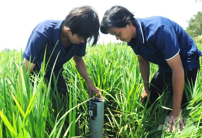 Vụ lúa hè thu tại Kiên Giang được xây dựng khung thời vụ hợp lý, đồng thời áp dụng các biện pháp kỹ thuật canh tác tiên tiến. Ảnh: Trung Chánh.