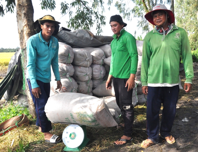 Nông dân huyện Giồng Riềng thu hoạch lúa hè thu trong niềm vui được mùa, giá cao. Ảnh: Trung Chánh.