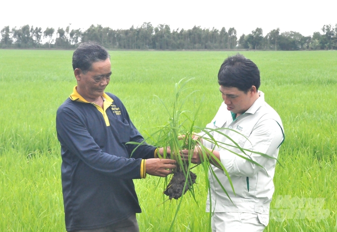 Nhiều huyện mở rộng diện tích xuống giống lúa thu đông, đưa diện tích toàn tỉnh đạt trên 94.600ha, tăng hơn 20.600ha so với kế hoạch. nong duoc viet nam