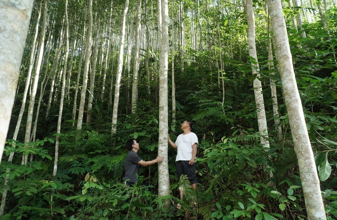 Bac Kan Province possesses significant potential to attract investment in agro-forestry and processing industries. Photo: Ngoc Tu. 