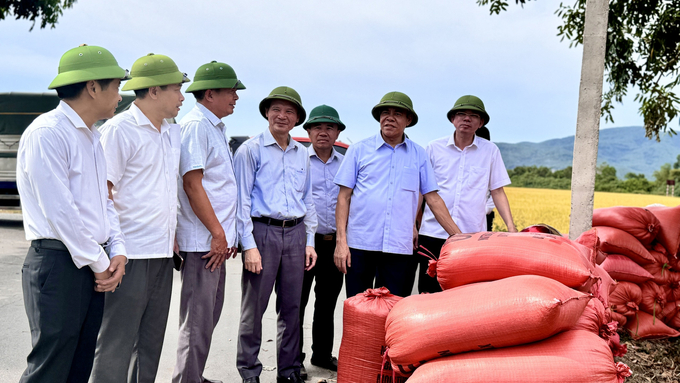 Ông Võ Trọng Hải, Chủ tịch UBND tỉnh Hà Tĩnh (thứ 2 từ phải sang) yêu cầu các địa phương hoàn thành thu hoạch lúa hè thu trước 5/9. Ảnh: Ánh Nguyệt.