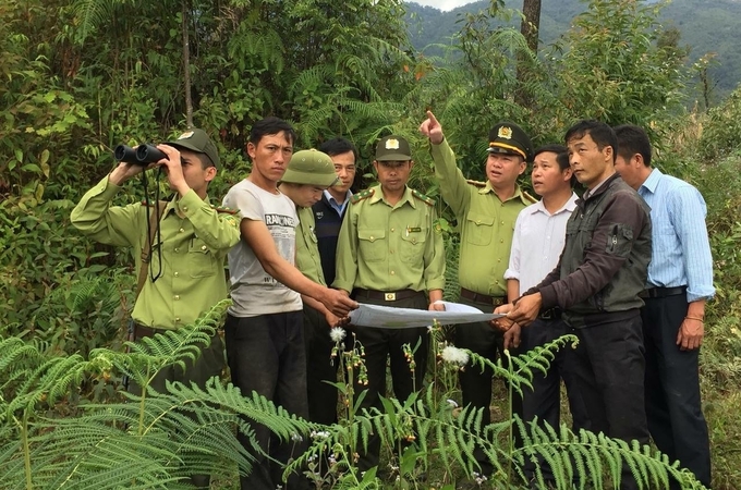 Cán bộ kiểm lâm phối hợp người dân tuần tra rừng. Ảnh: Quỹ Bảo vệ và Phát triển rừng tỉnh Yên Bái.