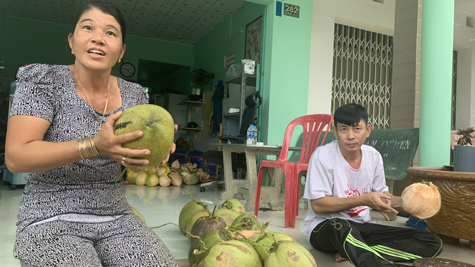 Trái dừa sáp là đặc sản của tỉnh Trà Vinh, mang lại giá trị kinh tế cao gấp nhiều lần so với dừa thường. Ảnh: Hồ Thảo.