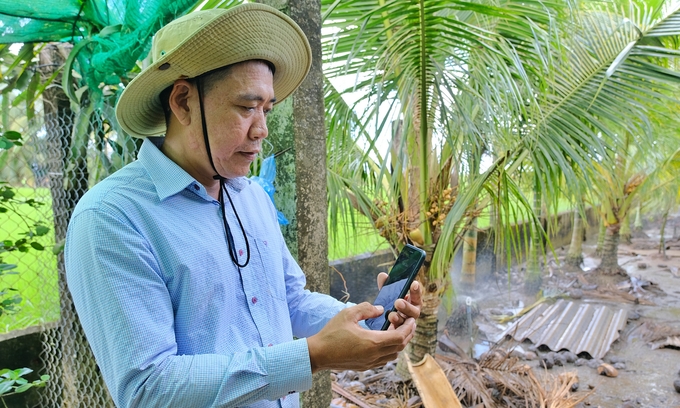 People control the automatic irrigation system in the coconut garden. Photo: Bao Thang.