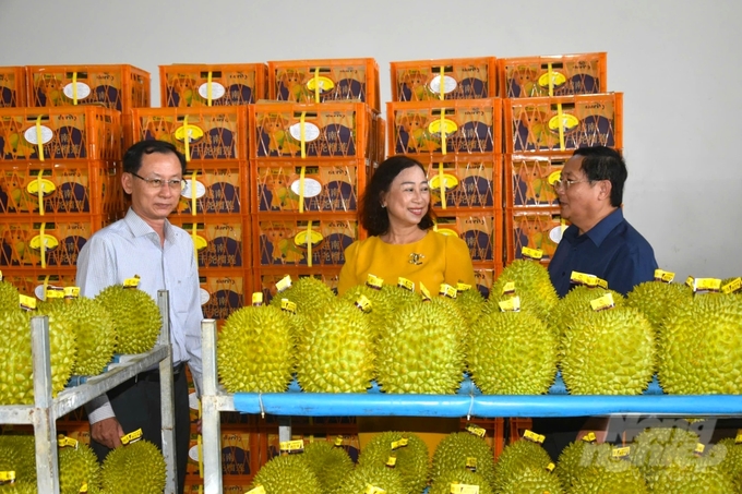 The Vietnam Fruit and Vegetable Association (Vinafruit) estimates that in 2024, the export value of Vietnamese durian could reach between $3 billion and $3.5 billion. Photo: Minh Dam.