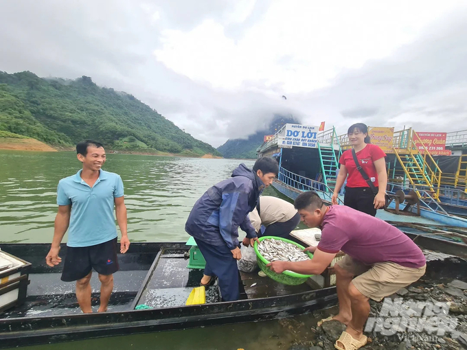 Anh Nguyễn Văn Luân (ngoài cùng bìa trái) sống bằng nghề chài lưới nhiều năm nay trên hồ thủy điện Tuyên Quang. Ảnh: Đào Thanh.